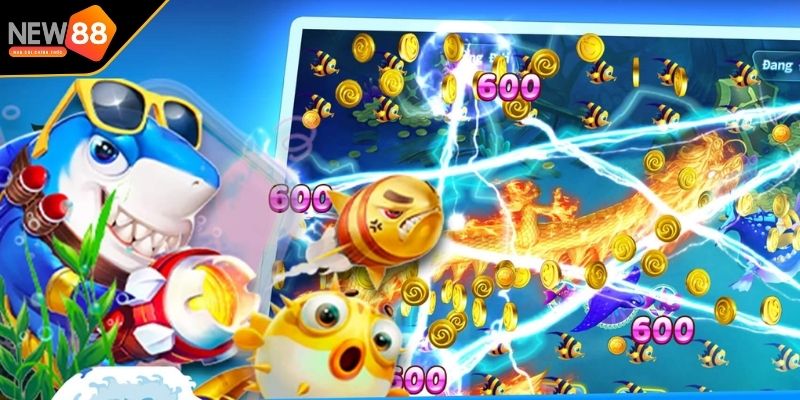 Vịnh Cá Mập cho người có kinh nghiệm